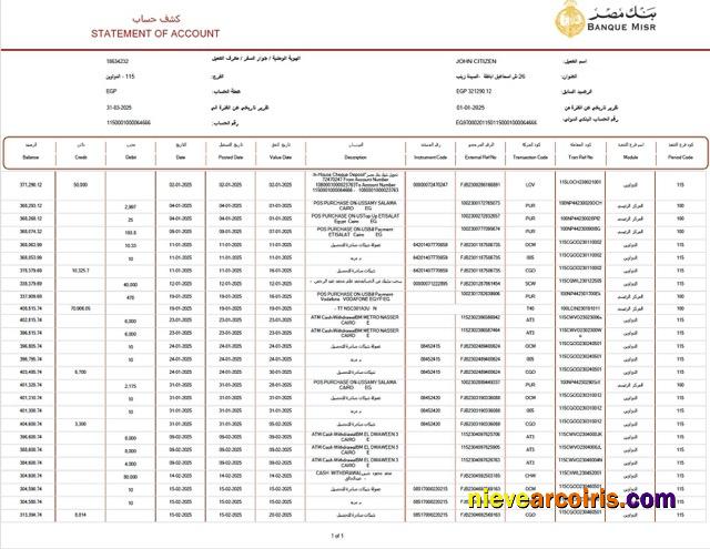 Egypt Banque Misr statement of account Word and PDF